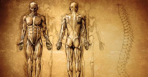 « Il faut faire dialoguer sciences humaines et sociales, médecine et biologie » « Il faut faire dialoguer sciences humaines et sociales, médecine et biologie »